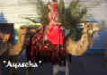 Kamel_2.jpg (68606 Byte)